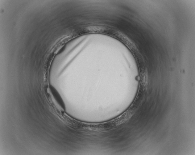 X0000082750733200702240038