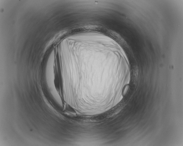 X0000082750734200702240038