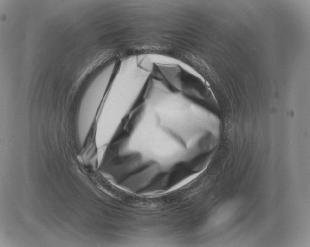 X0000082750735200702240038