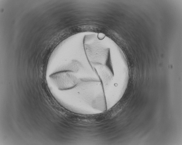 X0000082750737200702240038