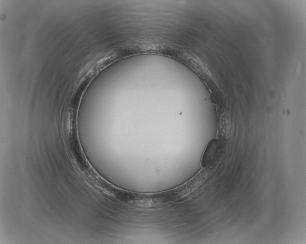 X0000082750740200702240038