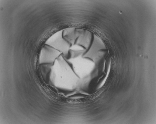 X0000082750742200702240038