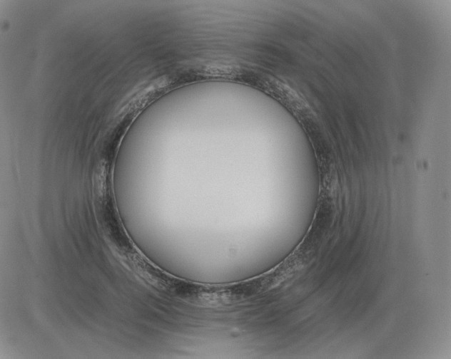 X0000082750744200702240038