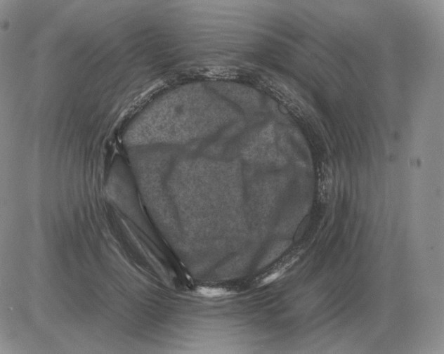 X0000082750748200702240038