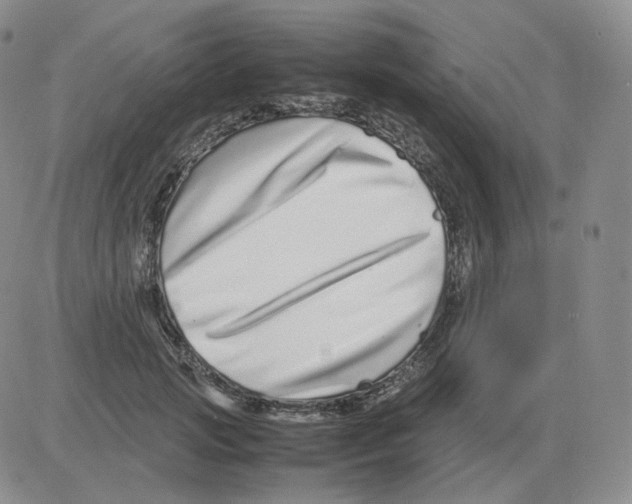 X0000082750749200702240038