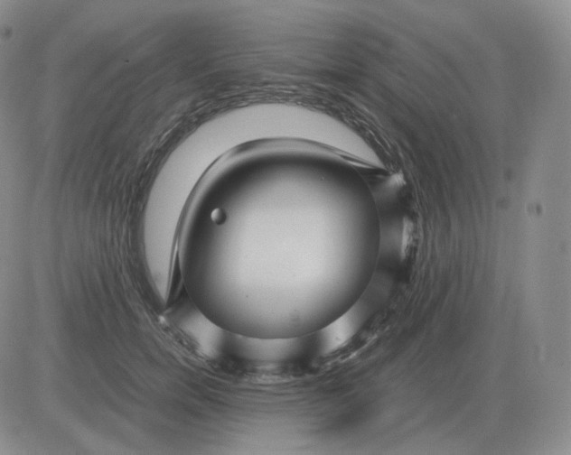 X0000082750750200702240038