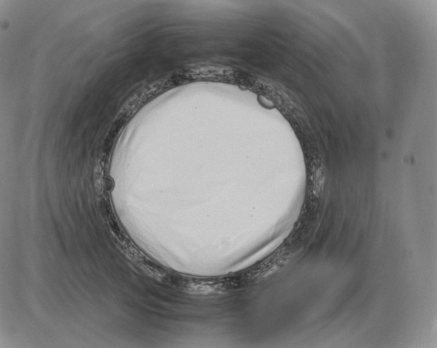 X0000082750753200702240038