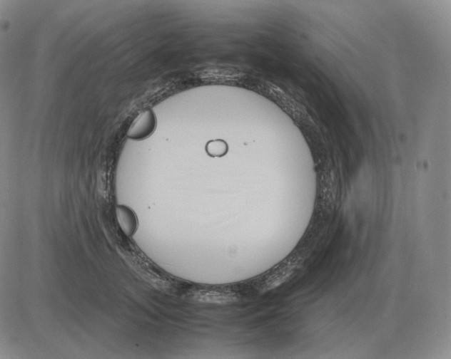 X0000082750755200702240038