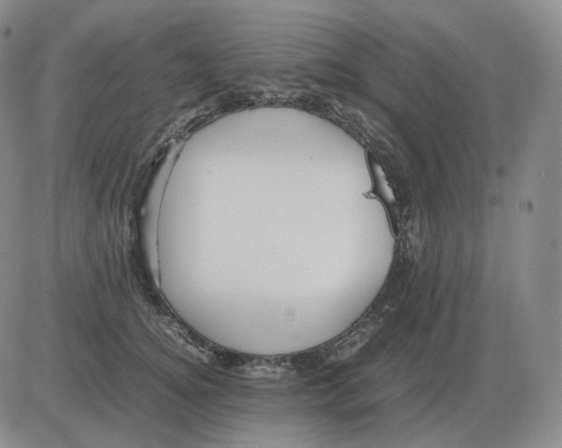 X0000082750756200702240038