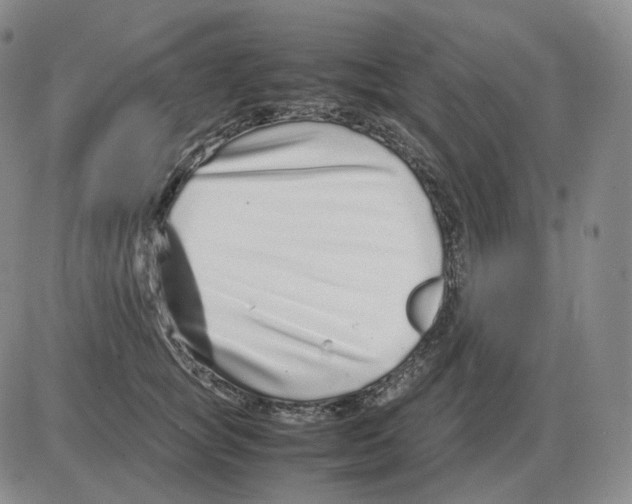 X0000082750757200702240038