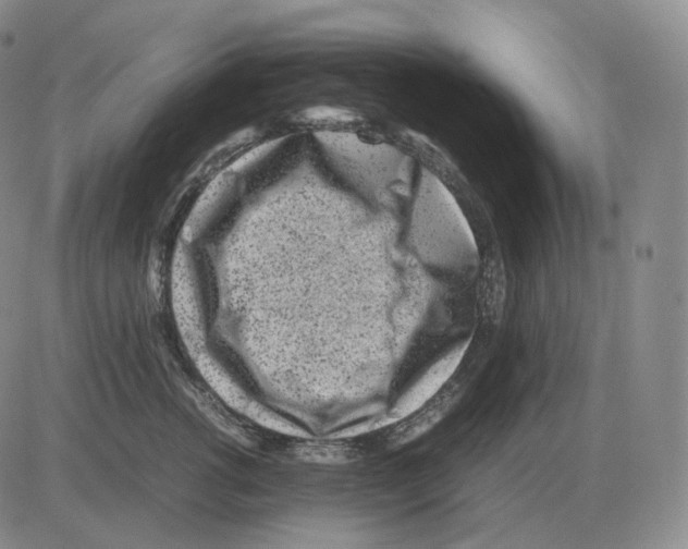 X0000082750762200702240038