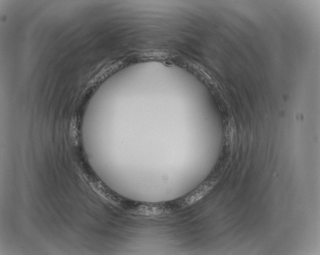 X0000082750764200702240038