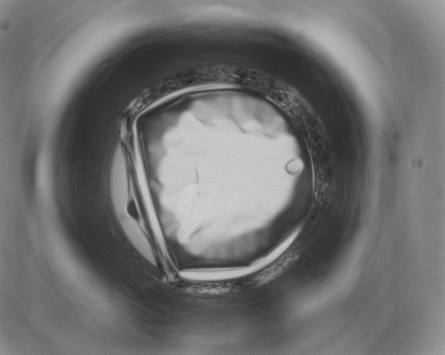 X0000082750765200702240038