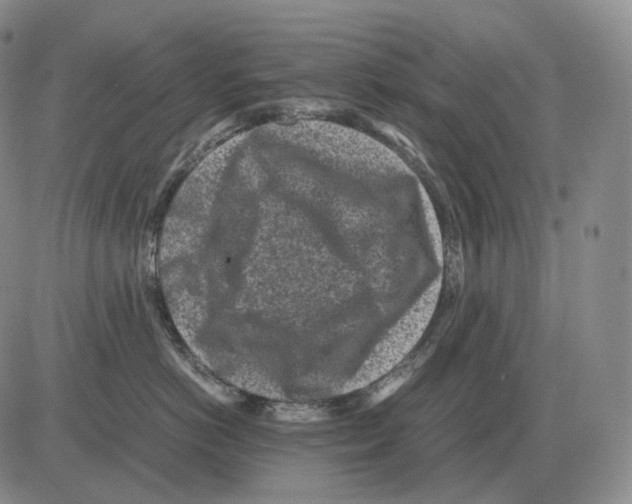 X0000082750766200702240038