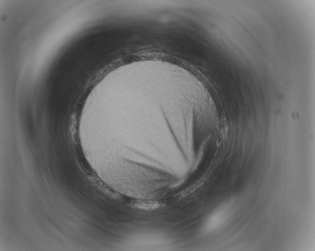 X0000082750767200702240038