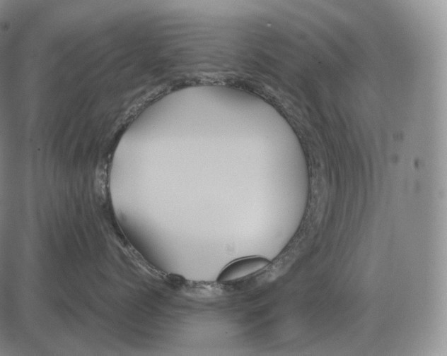 X0000082750768200702240038