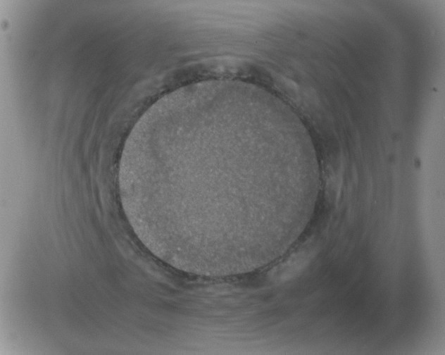 X0000082750769200702240038