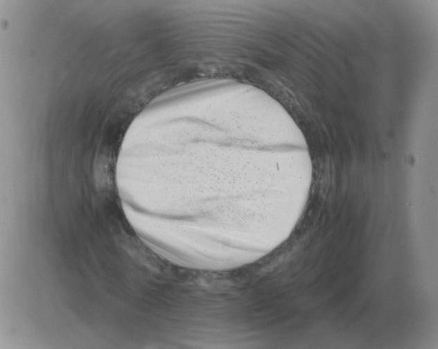 X0000082750770200702240038