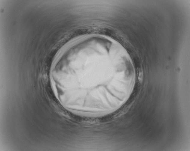 X0000082750771200702240037