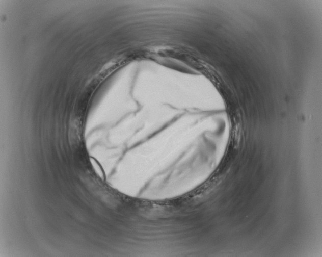 X0000082750772200702240037