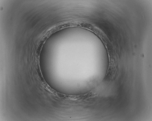 X0000082750773200702240037