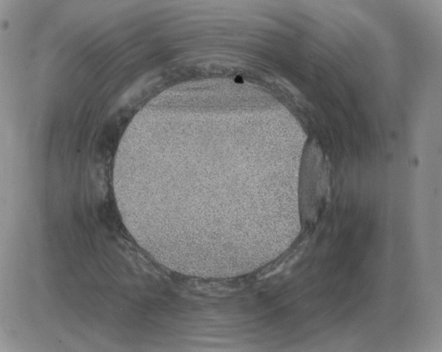 X0000082750774200702240037