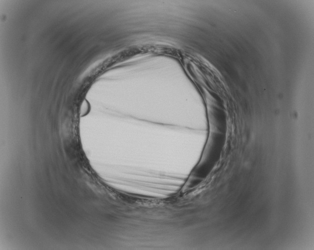 X0000082750775200702240037