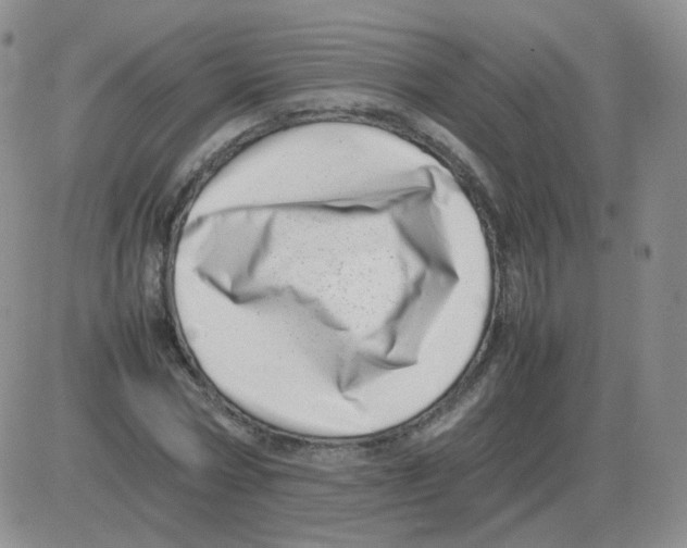 X0000082750778200702240037