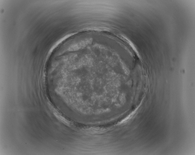 X0000082750779200702240037