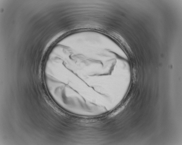 X0000082750780200702240037