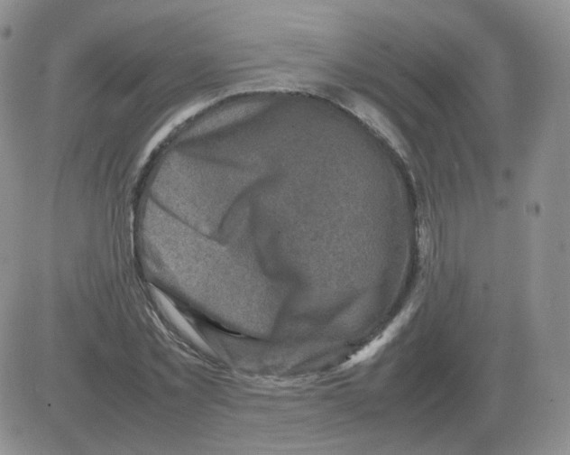 X0000082750781200702240037