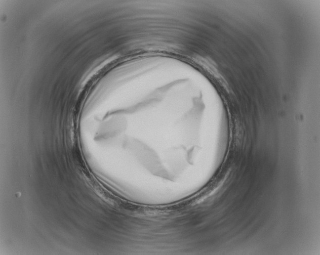 X0000082750782200702240037