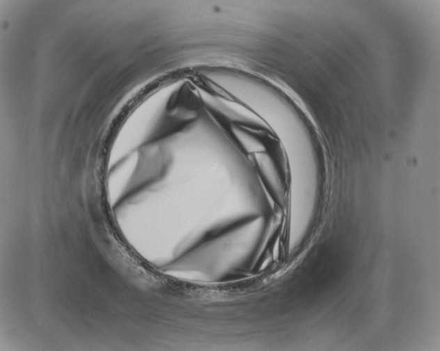 X0000082750783200702240037