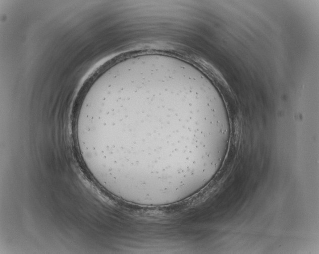 X0000082750784200702240037