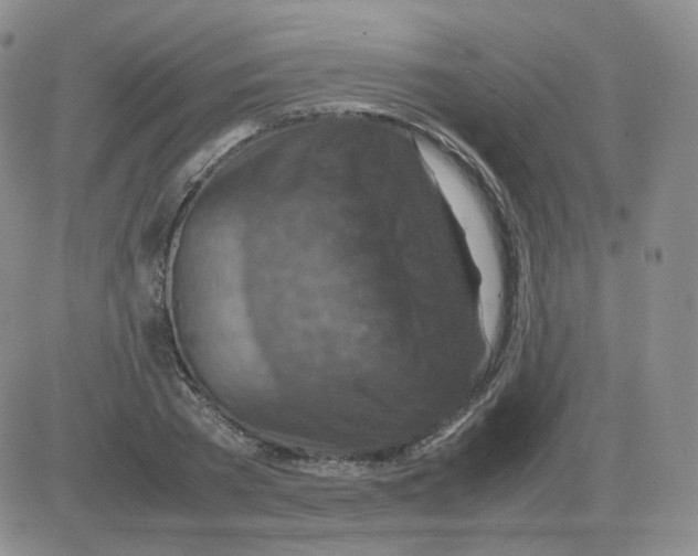 X0000082750785200702240037