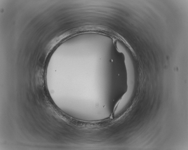 X0000082750786200702240037