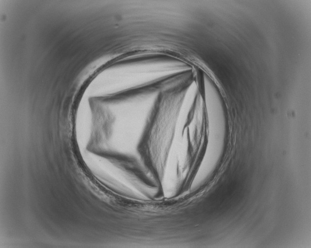 X0000082750787200702240037