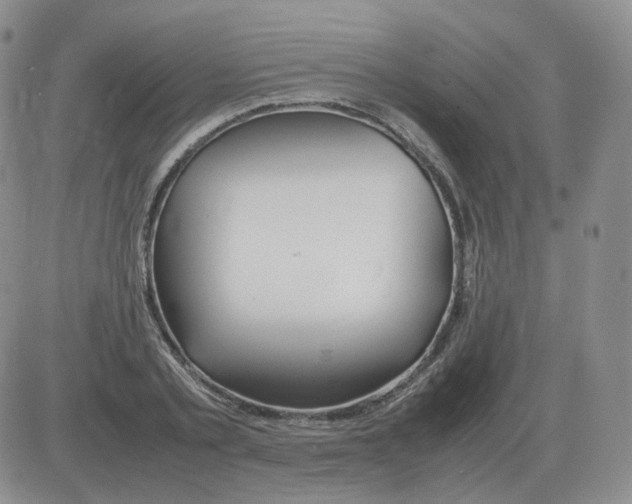 X0000082750789200702240037