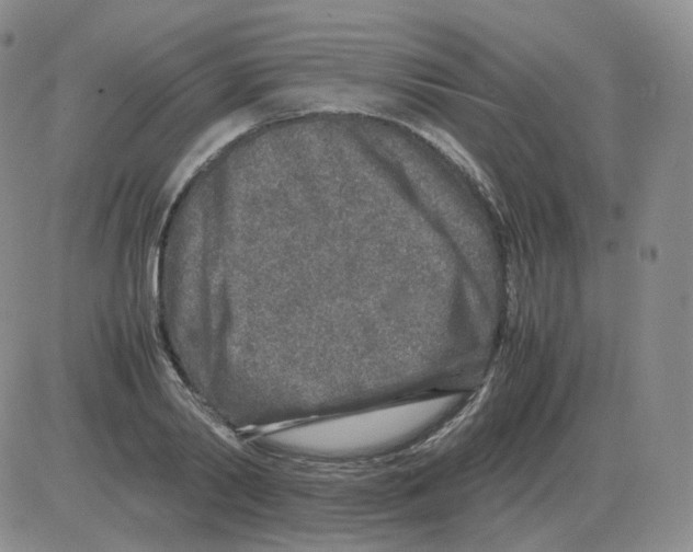 X0000082750790200702240037