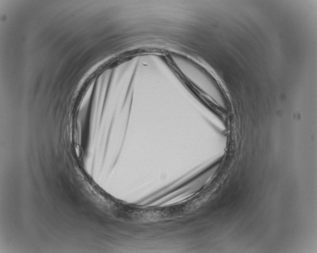 X0000082750791200702240037