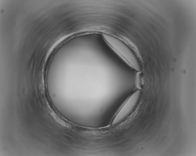 X0000082750792200702240037