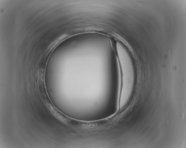 X0000082750793200702240037