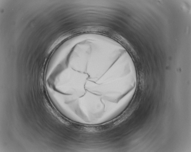 X0000082750794200702240037