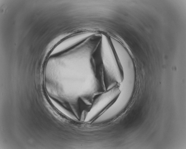 X0000082750795200702240037