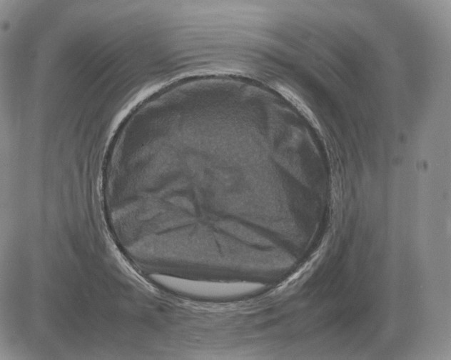 X0000082750797200702240037