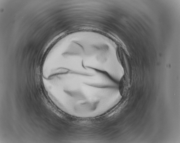 X0000082750798200702240037