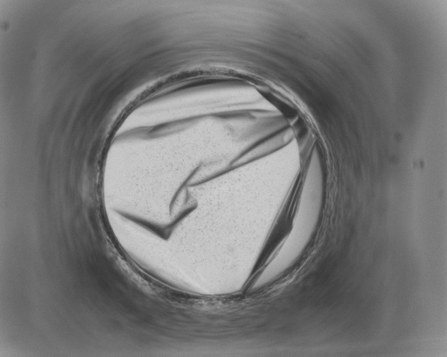 X0000082750799200702240037