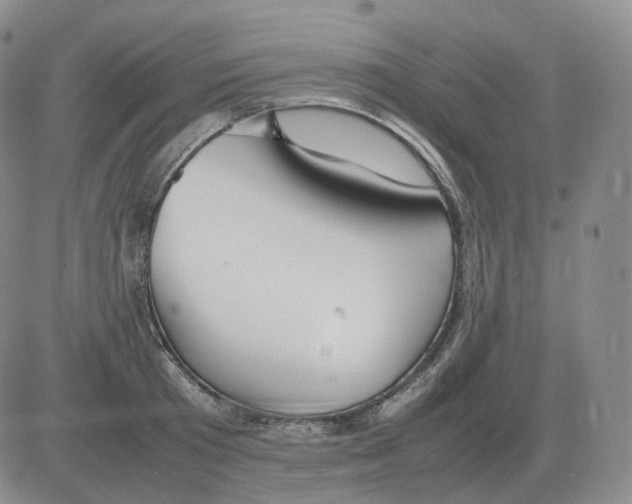 X0000082750801200702240037