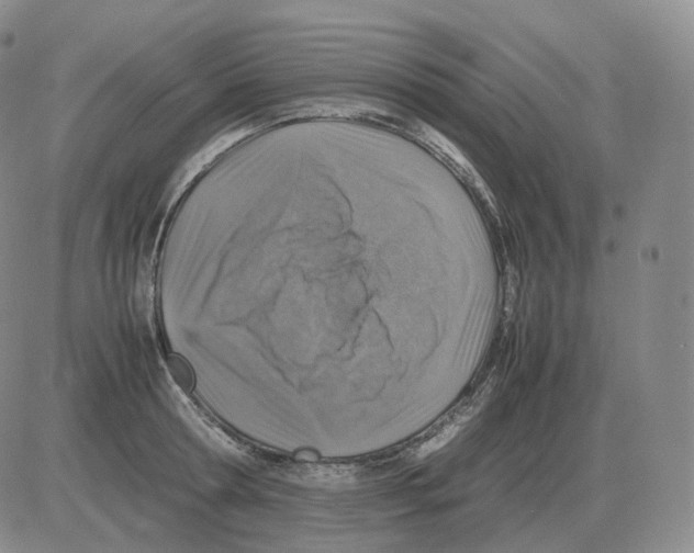 X0000082750802200702240037