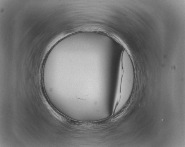 X0000082750803200702240037